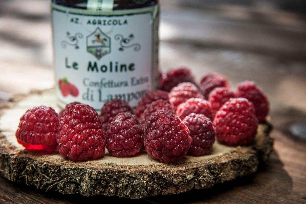 Piccolo Casale A "Le Moline" In Una Vera Fattoria Vetralla Exteriér fotografie