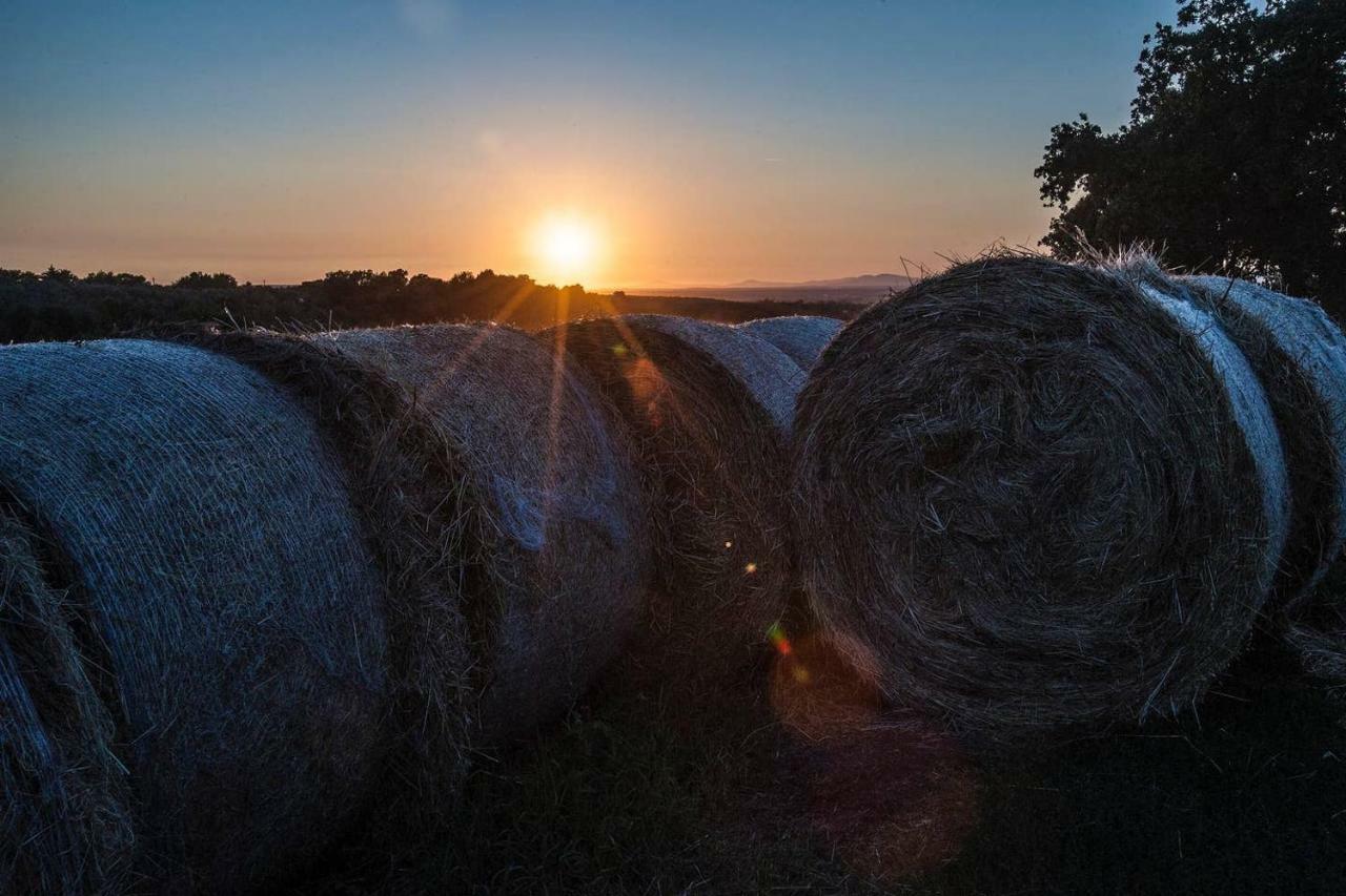Piccolo Casale A "Le Moline" In Una Vera Fattoria Vetralla Exteriér fotografie